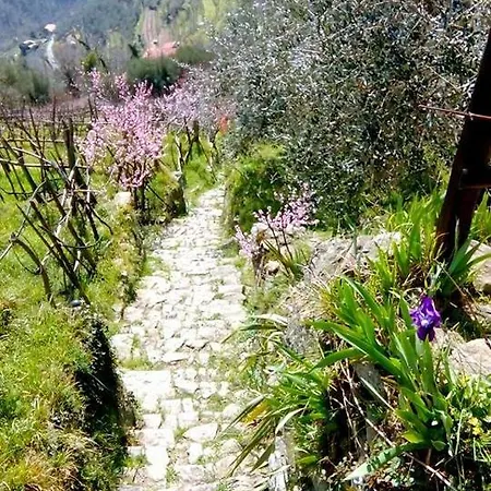 ベッド・アンド・ブレックファスト Castagnola 64 ネー