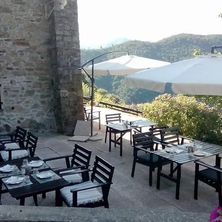 Castagnola 64 ネー