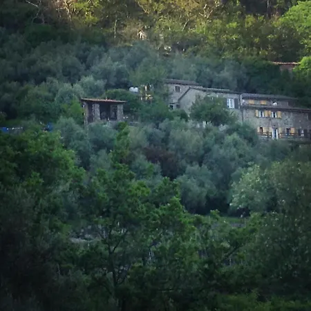 Castagnola 64 3* ネー