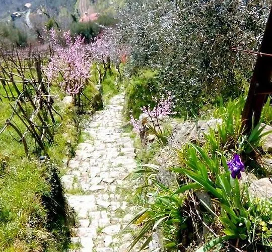 Bed and breakfast Castagnola 64 Ne