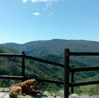 Bed and breakfast Castagnola 64 3*