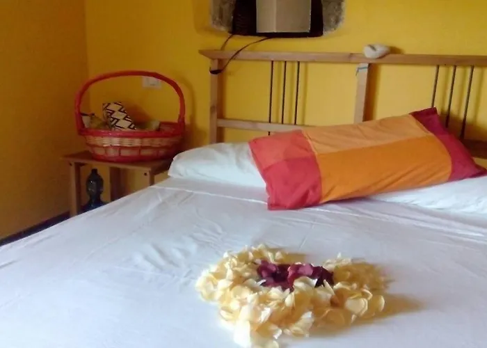 Bed and breakfast Castagnola 64