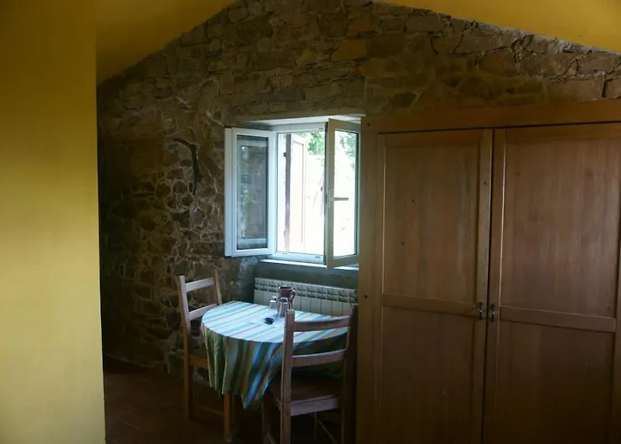 Castagnola 64 Bed and breakfast Ne