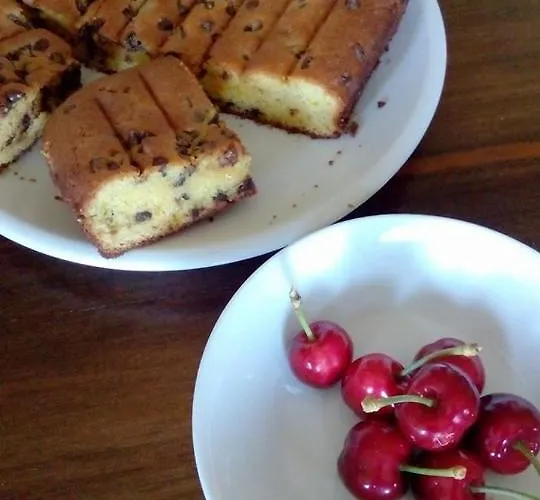 Castagnola 64 Bed and breakfast