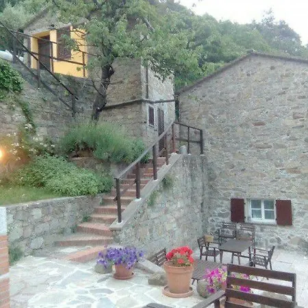 Castagnola 64