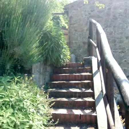 Castagnola 64 Ne