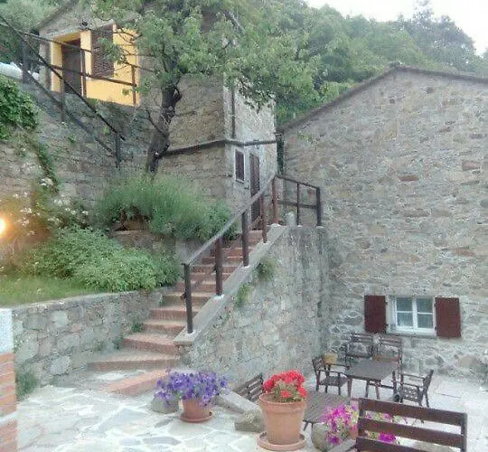 Castagnola 64