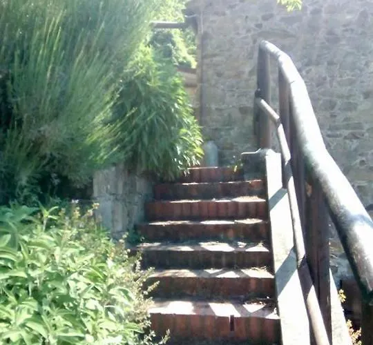 Castagnola 64 Ne